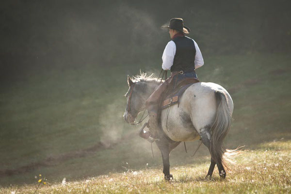RossFoto Dana Krimmling Pferdefotografie Fotografien vom Wanderreiten Freizeitreiten Quarter Horses Gerhard Kissel Westernreiten Viehtrieb Westernladen Dahn