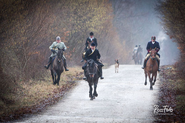 Chasse a courre Abbaye du val des Choues, RossFoto Dana Krimmling