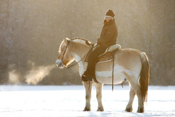 RossFoto Pferdefotografie Fotografien vom Wanderreiten Westernreiten Freiberger Pferde Quarter Horses