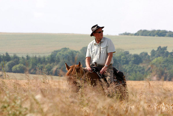 Rossfoto Fotografien vom Wanderreiten Pferdefotografie Freiberger Pferde