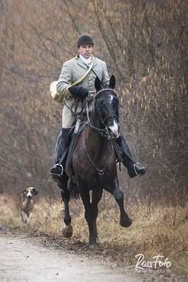 Chasse a courre Abbaye du val des Choues, RossFoto Dana Krimmling