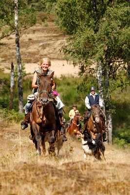 RossFoto Dana Krimmling Pferdefotografie Wanderreiten Jagdreiten Freiberger Pferde