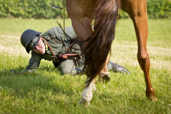 RossFoto Pferdefotografie Fotografien vom Wanderreiten Westernreiten Freiberger Pferde Quarter Horses