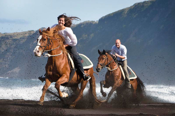 RossFoto Pferdefotografie Fotografien vom Wanderreiten Westernreiten Freiberger Pferde Quarter Horses