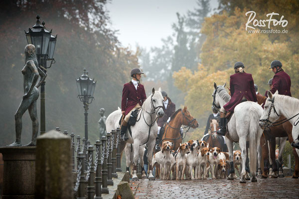 RossFoto Dana Krimmling, Nienhagen Foxhounds 2015, Pferdefotografie, Jagdreiten