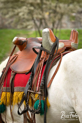 RossFoto, Dana Krimmling, Pferdefotografie, Fotografie, Wanderreiten, Westernreiten, Rom, römisch, Kavallerie, Timetrotter