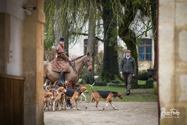 Chasse a courre Abbaye du val des Choues, RossFoto Dana Krimmling