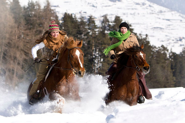 RossFoto Pferdefotografie Fotografien vom Wanderreiten Westernreiten Freiberger Pferde Quarter Horses