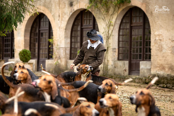 Chasse a courre Abbaye du val des Choues, RossFoto Dana Krimmling