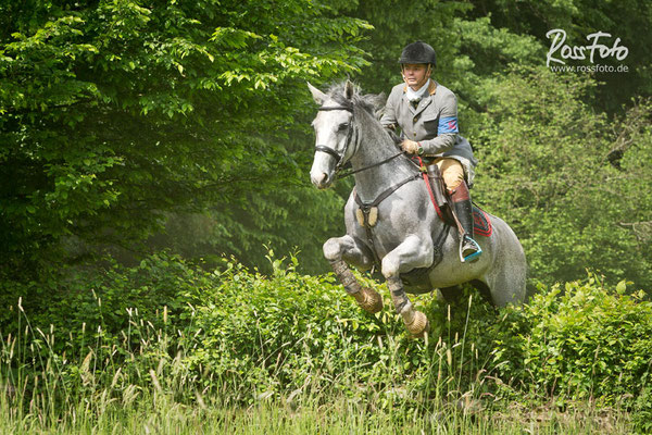 RossFoto Dana Krimmling; Schleppjagd Cappenberger Meute; Pferdefotografie; wanderreiten; westernreiten; jagdreiten; Jagdpferd; Westerwald; Hundemeute; Equipage; Jagdhunde; jagdpferd