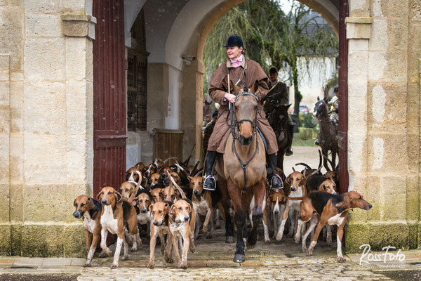 Chasse a courre Abbaye du val des Choues, RossFoto Dana Krimmling