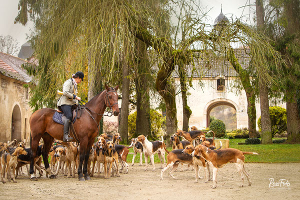 Chasse a courre Abbaye du val des Choues, RossFoto Dana Krimmling