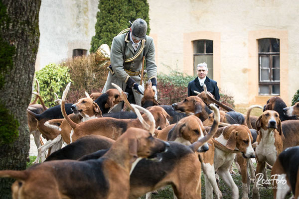 Chasse a courre Abbaye du val des Choues, RossFoto Dana Krimmling