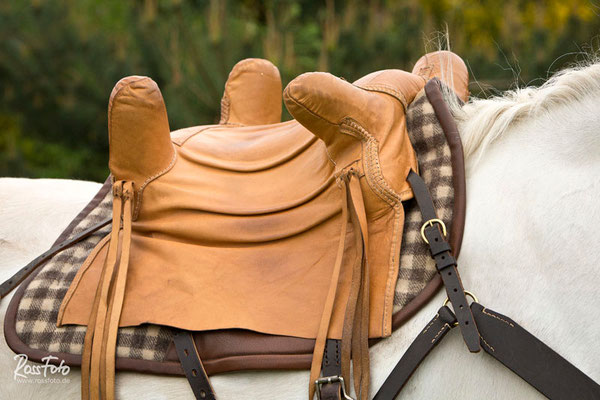 RossFoto Dana Krimmling Pferdefotografie Pferdeportrait Fotos vom Wanderreiten Jagdreiten Westernreiten Kavallerie Freiberger Pferde Altoldenburger Pferde Polo