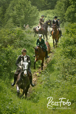 RossFoto Dana Krimmling; Schleppjagd Cappenberger Meute; Pferdefotografie; wanderreiten; westernreiten; jagdreiten; Jagdpferd; Westerwald; Hundemeute; Equipage; Jagdhunde; jagdpferd