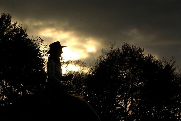 RossFoto - Dana Krimmling - Bunt wie der Herbst - Reiten im Herbst