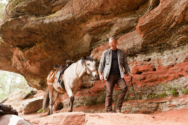 Rossfoto Fotografien vom Wanderreiten Pferdefotografie Freiberger Pferde