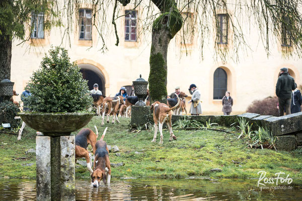 Chasse a courre Abbaye du val des Choues, RossFoto Dana Krimmling