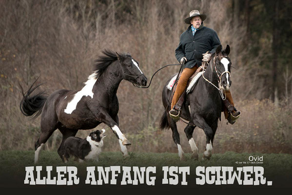 RossFoto Dana Krimmling Pferdefotografie Fotografien vom Wanderreiten Westernreiten Kavalleriereiten Jagdreiten