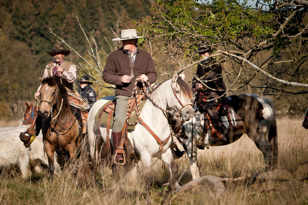 RossFoto Pferdefotografie Fotografien vom Wanderreiten Westernreiten Freiberger Pferde Quarter Horses