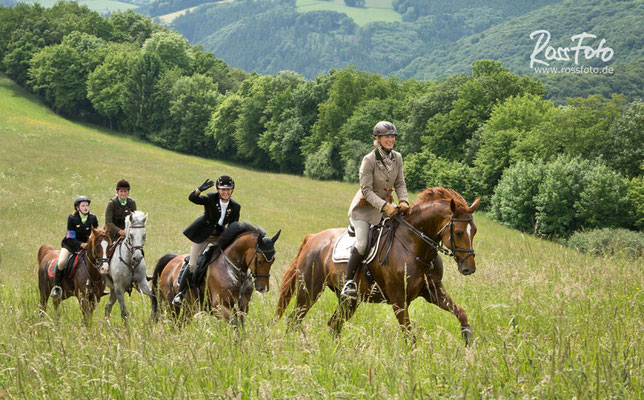 RossFoto Dana Krimmling; Schleppjagd Cappenberger Meute; Pferdefotografie; wanderreiten; westernreiten; jagdreiten; Jagdpferd; Westerwald; Hundemeute; Equipage; Jagdhunde; jagdpferd