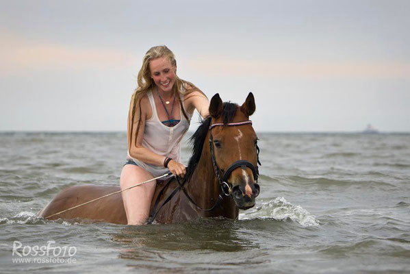 RossFoto Dana Krimmling Pferdefotografie Fotografien vom Wanderreiten Reiten im Meer Schwimmen
