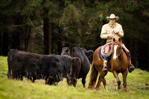 RossFoto Pferdefotografie Dana Krimmling Wanderreiten Westernreiten Freiberger Pferde Viehtrieb