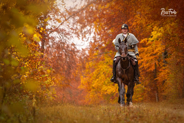 Chasse a courre Abbaye du val des Choues, RossFoto Dana Krimmling