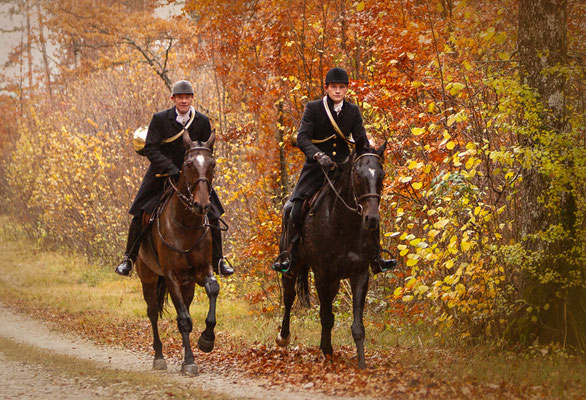 Chasse a courre Abbaye du val des Choues, RossFoto Dana Krimmling