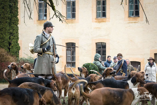 Chasse a courre Abbaye du val des Choues, RossFoto Dana Krimmling