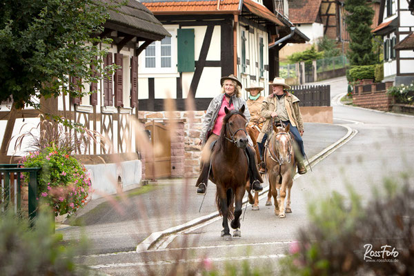 RossFoto Dana Krimmling, Alice en selle, Wanderreiten in den Hochvogesen, Alsace, Elsass, Balade en cheval, Randonnée en cheval