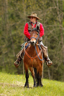 Rossfoto Fotografien vom Wanderreiten Pferdefotografie Freiberger Pferde