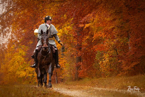 Chasse a courre Abbaye du val des Choues, RossFoto Dana Krimmling