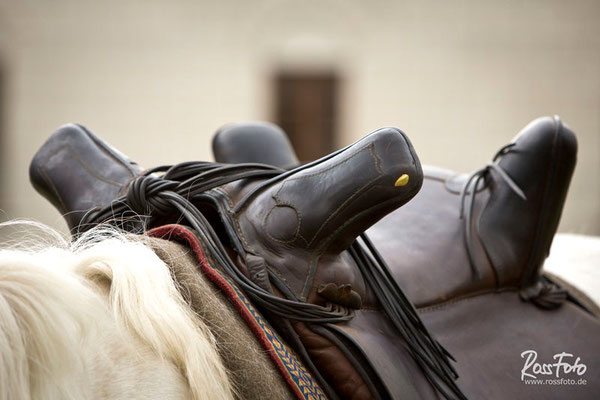 RossFoto, Dana Krimmling, Pferdefotografie, Fotografie, Wanderreiten, Westernreiten, Rom, römisch, Kavallerie, Timetrotter