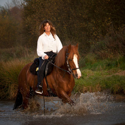 RossFoto Dana Krimmling Pferdefotografie Fotografien vom Wanderreiten Freiberger Pferde Jagdreiten