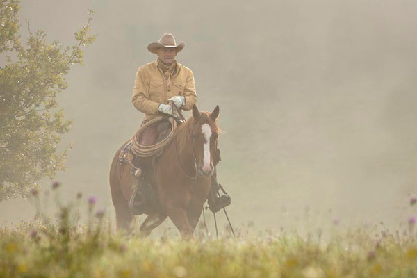 RossFoto Pferdefotografie Fotografien vom Wanderreiten Westernreiten Freiberger Pferde Quarter Horses