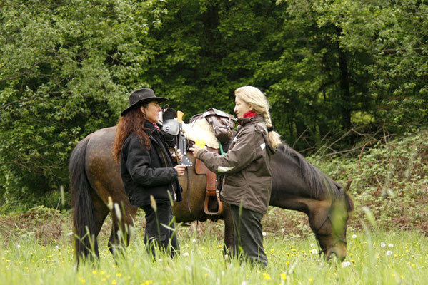 Rossfoto Fotografien vom Wanderreiten Pferdefotografie Freiberger Pferde