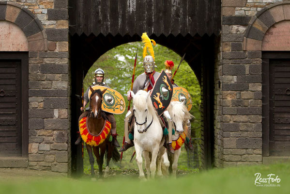 RossFoto, Dana Krimmling, Pferdefotografie, Fotografie, Wanderreiten, Westernreiten, Rom, römisch, Kavallerie, Timetrotter