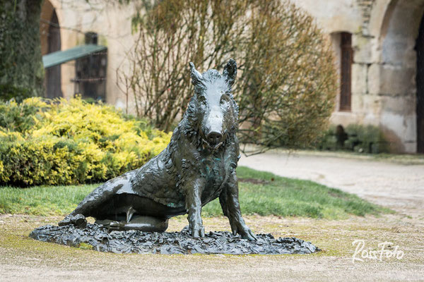 Chasse a courre Abbaye du val des Choues, RossFoto Dana Krimmling