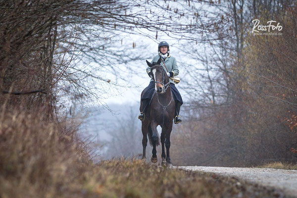 Chasse a courre Abbaye du val des Choues, RossFoto Dana Krimmling