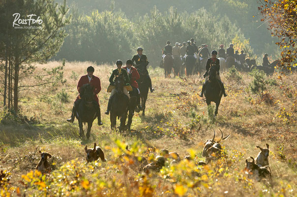 RossFoto Pferdefotografie Fotografien vom Wanderreiten Westernreiten Freiberger Pferde Quarter Horses