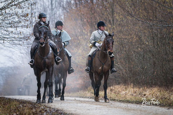 Chasse a courre Abbaye du val des Choues, RossFoto Dana Krimmling