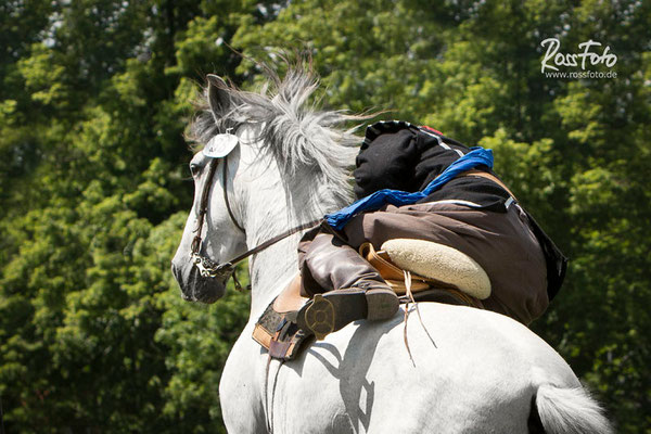 RossFoto Pferdefotografie Fotografien vom Wanderreiten Westernreiten Jagdreiten Kavallerie Freiberger Pferde Quarter Horses