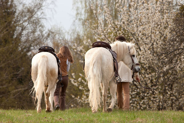 RossFoto Dana Krimmling Pferdefotografie Fotografien vom Wanderreiten Reiten im Frühling