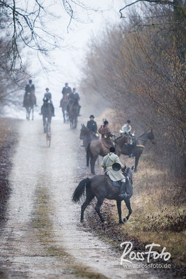 Chasse a courre Abbaye du val des Choues, RossFoto Dana Krimmling