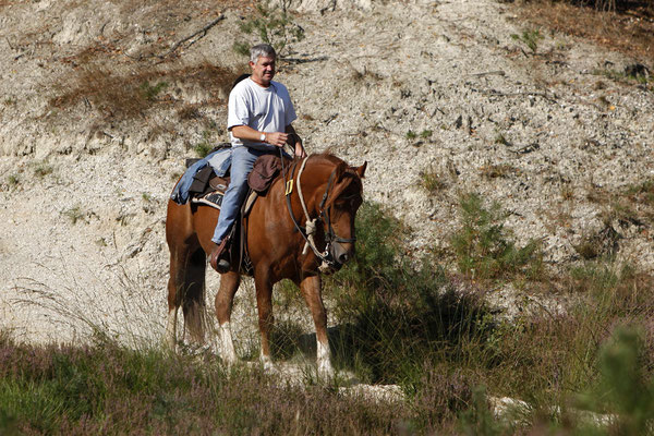 RossFoto Dana Krimmling Pferdefotografie Wanderreiten Jagdreiten Freiberger Pferde