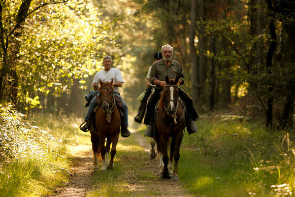 RossFoto Pferdefotografie Fotografien vom Wanderreiten Westernreiten Freiberger Pferde Quarter Horses