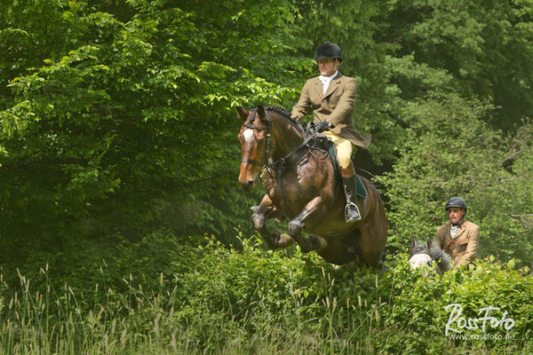 RossFoto Dana Krimmling; Schleppjagd Cappenberger Meute; Pferdefotografie; wanderreiten; westernreiten; jagdreiten; Jagdpferd; Westerwald; Hundemeute; Equipage; Jagdhunde; jagdpferd