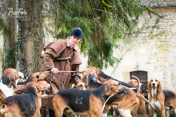 Chasse a courre Abbaye du val des Choues, RossFoto Dana Krimmling