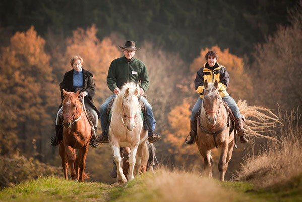 Rossfoto Fotografien vom Wanderreiten Pferdefotografie Freiberger Pferde